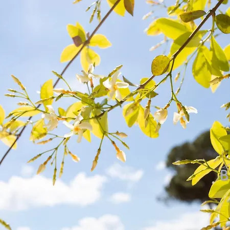 Lovely With Golf Course Views Close To The Sea Swimming Pool Park Mandelieu-la-Napoule